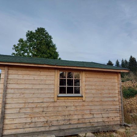 Petit Chalet Nature Les Rousses Bagian luar foto