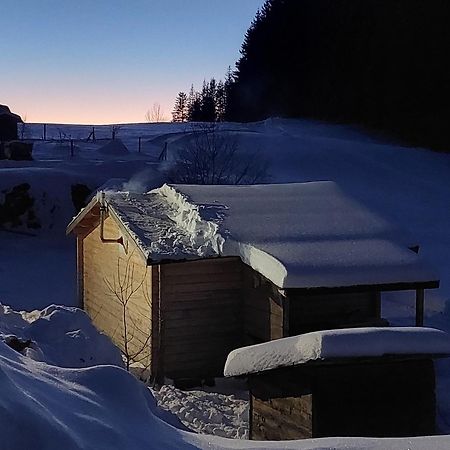 Petit Chalet Nature Les Rousses Bagian luar foto