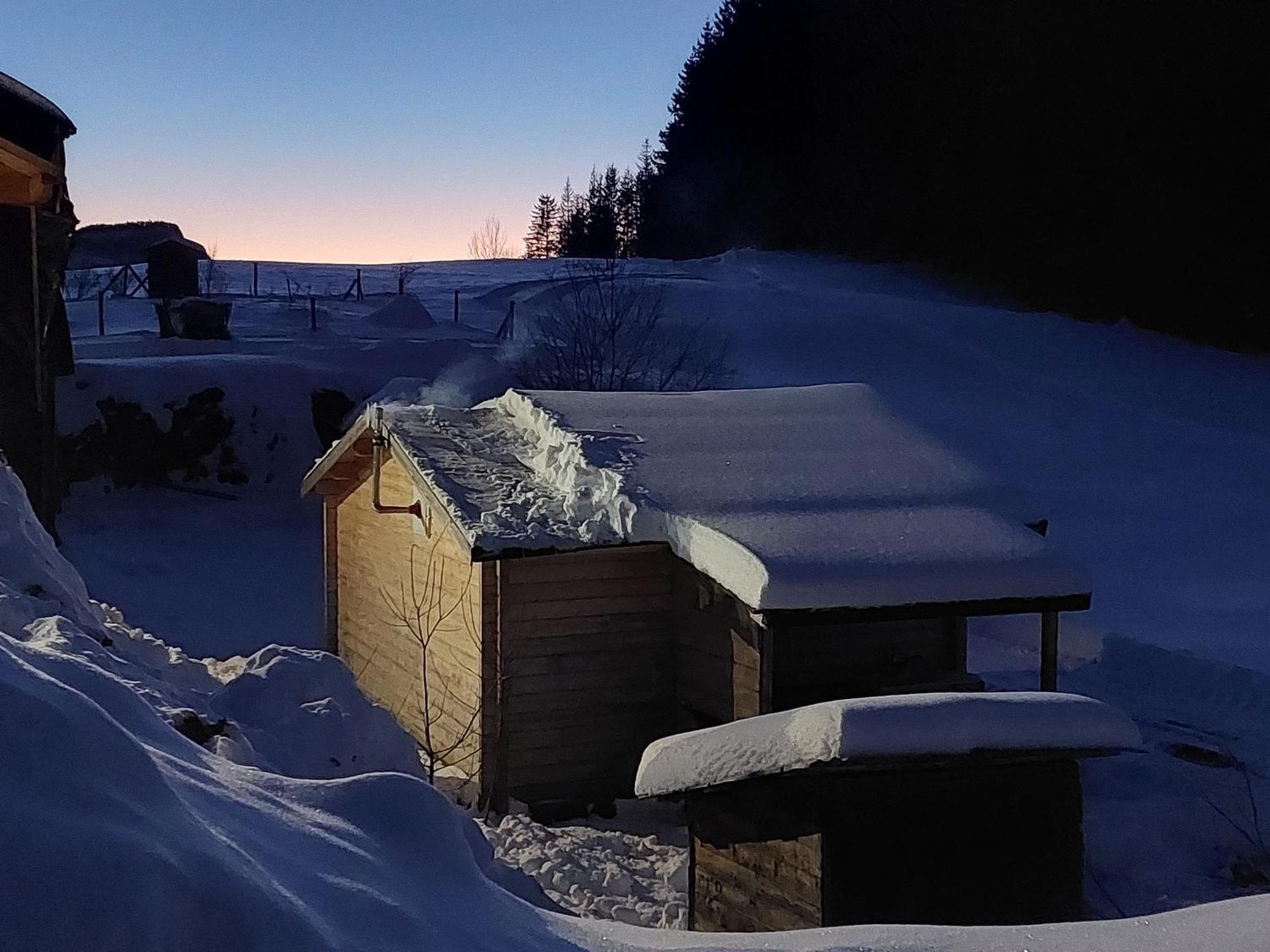 Petit Chalet Nature Les Rousses Bagian luar foto